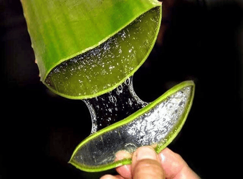 colon irritabile e aloe